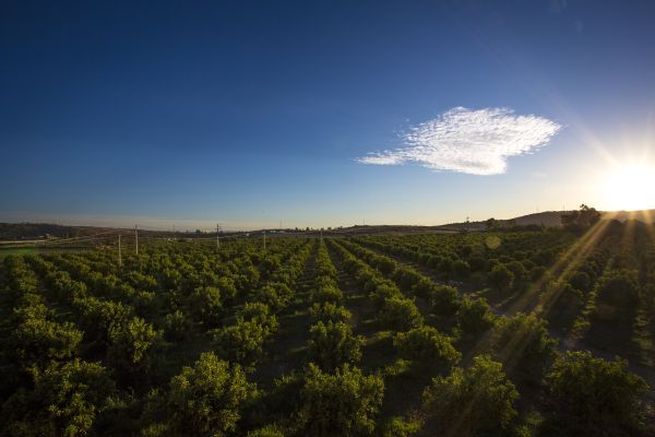 Agriturismo Badiula (Carlentini)